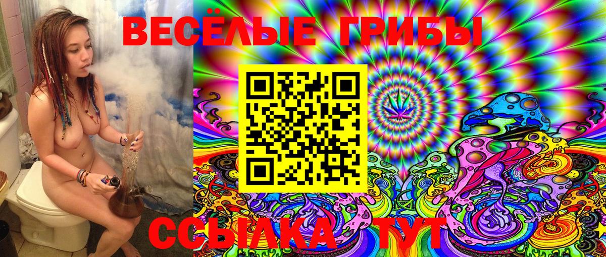 Галлюциногенные грибы MAGIC MUSHROOMS  Псилоцибиновые грибы Magic Shrooms  Вход с VPN  Великие Луки 